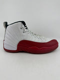 AJ 12 - CHERRY (2023)|41219